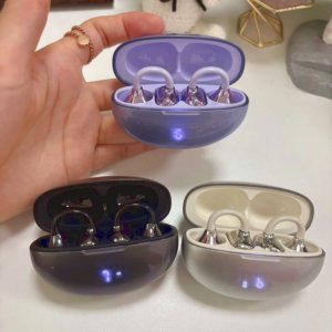 Wireless Translator Earbuds