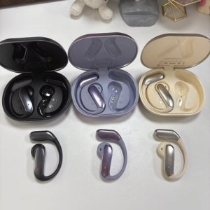 Ai Translation Earbuds